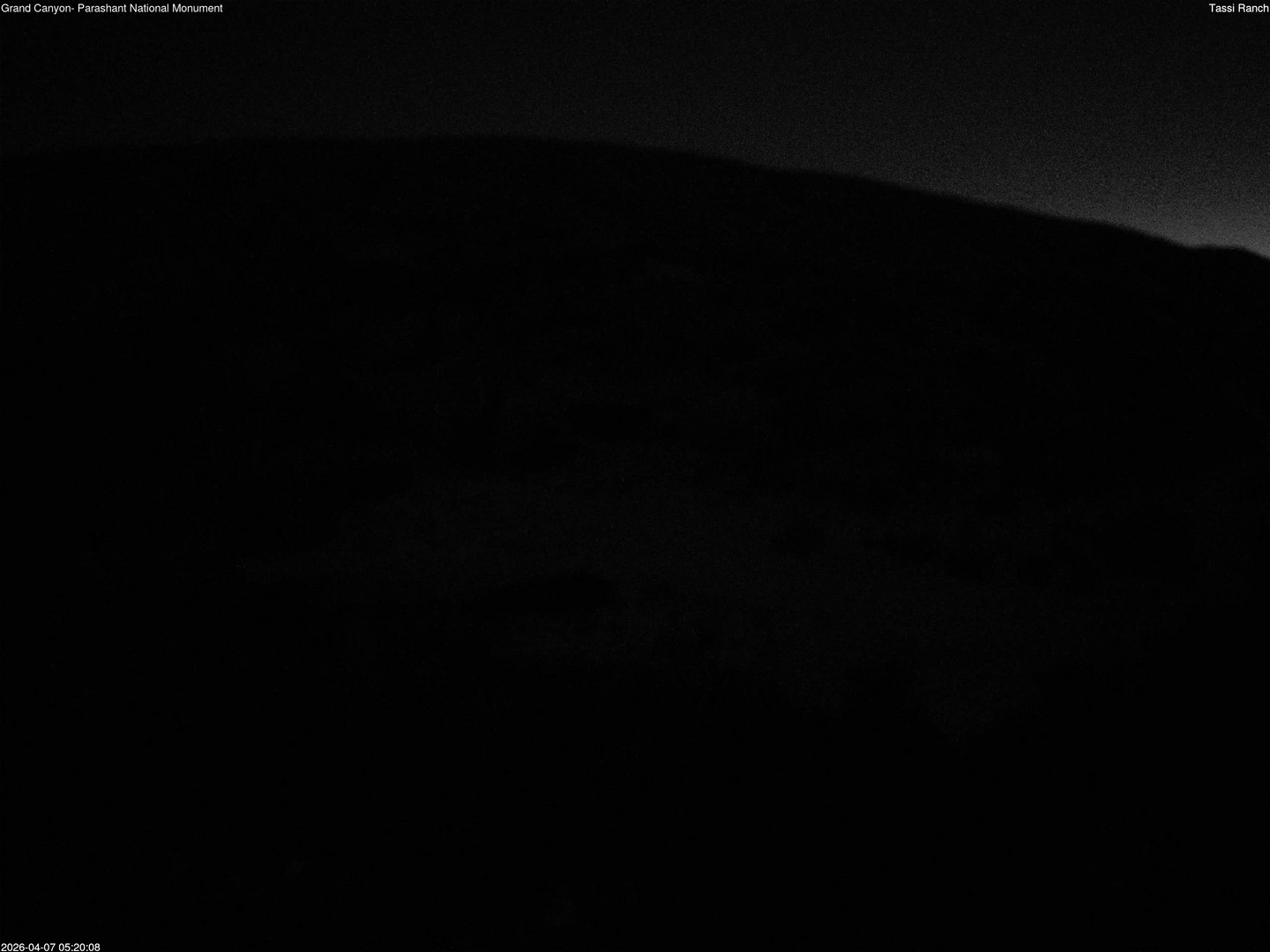 time-lapse frame, Tassi Ranch webcam