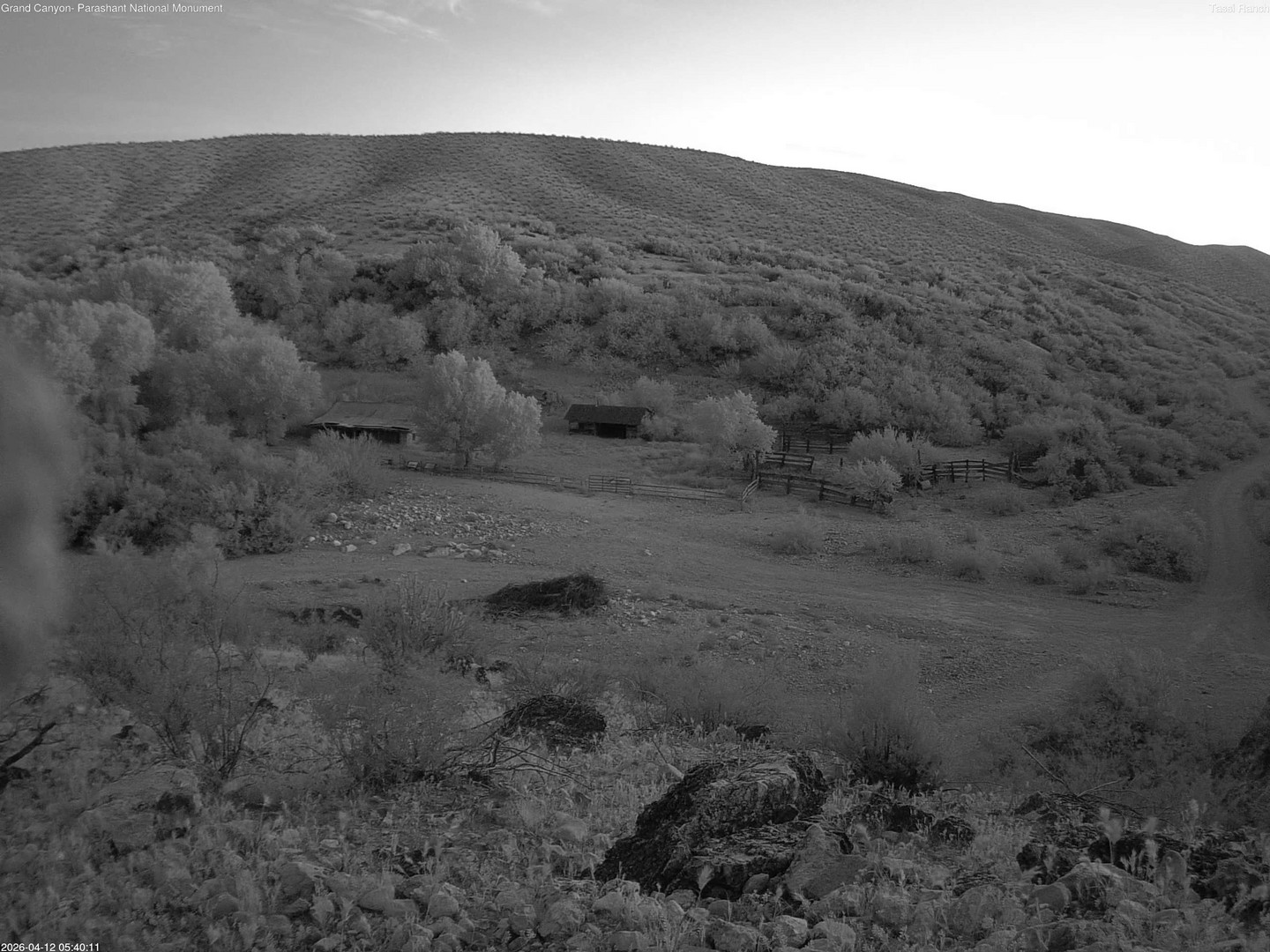 time-lapse frame, Tassi Ranch webcam