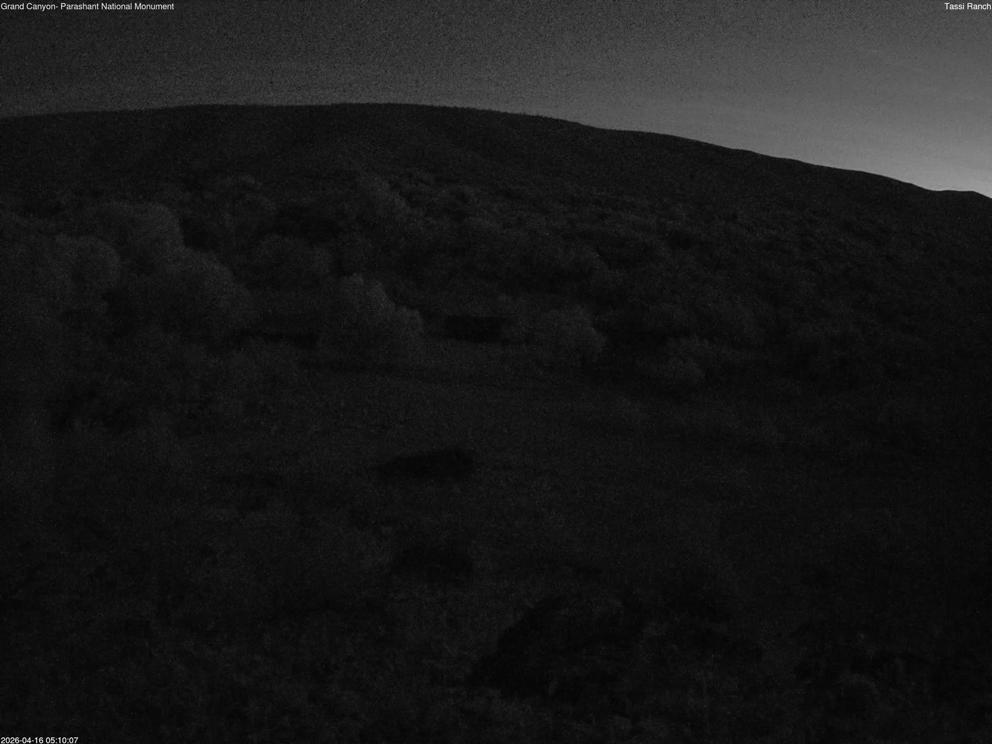 time-lapse frame, Tassi Ranch webcam