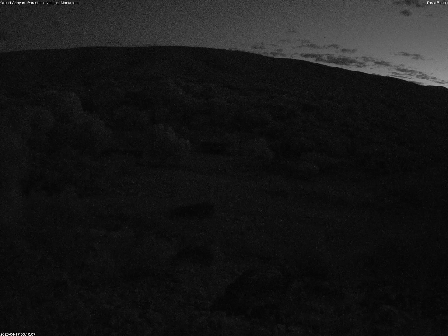 time-lapse frame, Tassi Ranch webcam