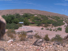 view from Tassi Ranch on 2026-06-12