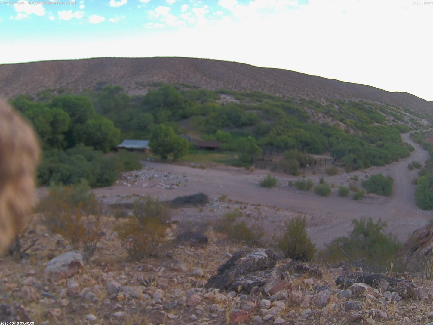 time-lapse frame, Tassi Ranch webcam