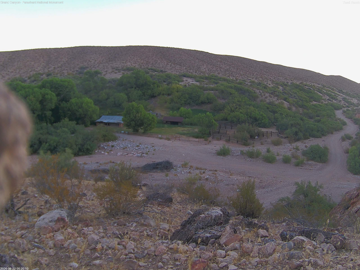 time-lapse frame, Tassi Ranch webcam