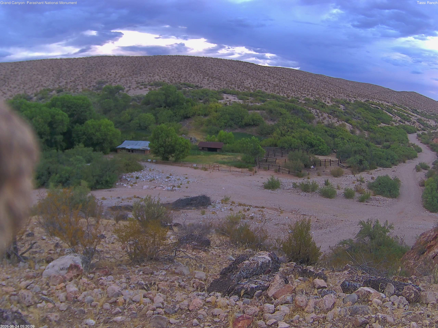 time-lapse frame, Tassi Ranch webcam