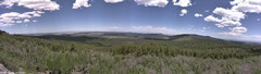 view from Mt Logan on 2025-05-30