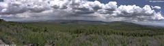 view from Mt Logan on 2025-06-06