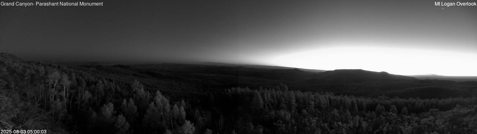time-lapse frame, Mt Logan webcam