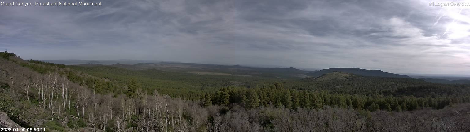 time-lapse frame, Mt Logan webcam