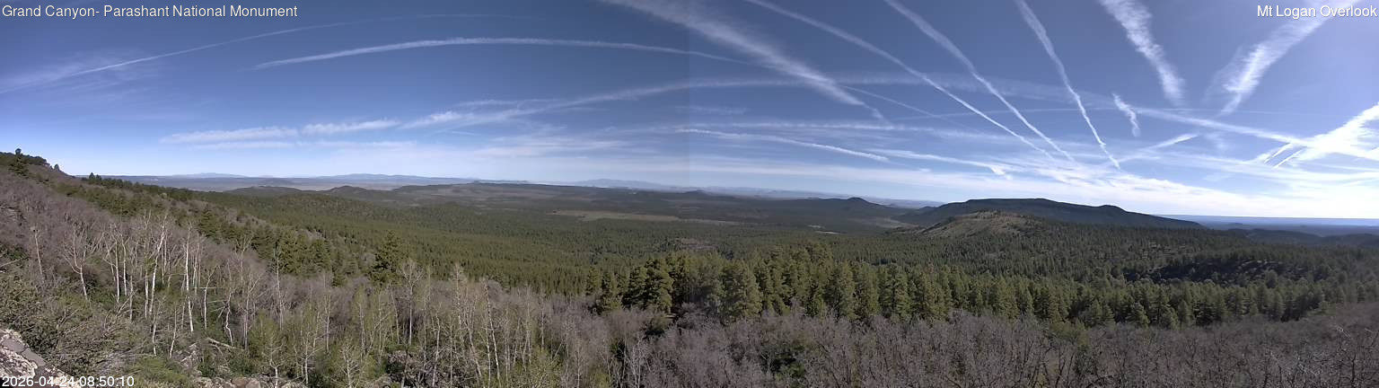 time-lapse frame, Mt Logan webcam