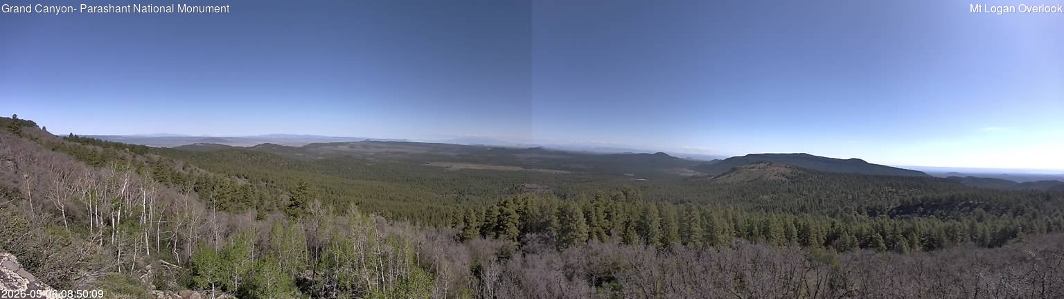 time-lapse frame, Mt Logan webcam
