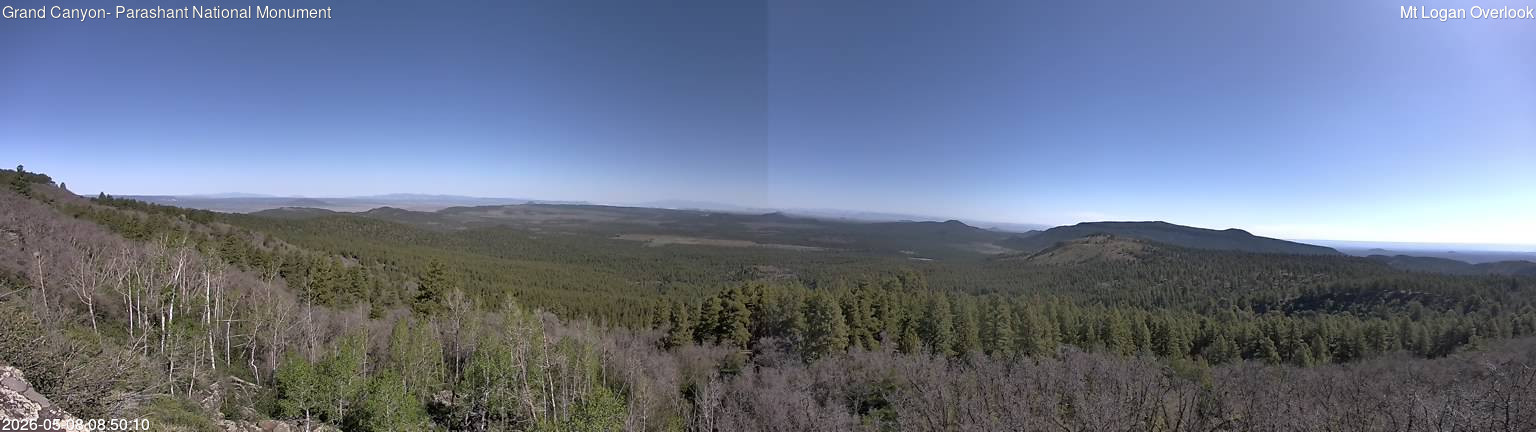 time-lapse frame, Mt Logan webcam