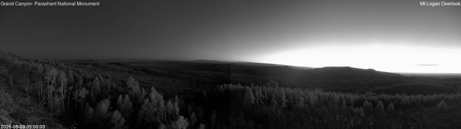 time-lapse frame, Mt Logan webcam