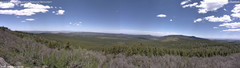 view from Mt Logan on 2026-05-09