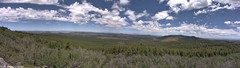 view from Mt Logan on 2026-07-06