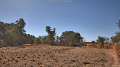 view from CreekCam on 2025-05-10