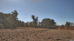 view from CreekCam East on 2025-07-04