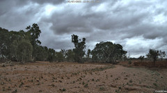 view from CreekCam East on 2025-07-05