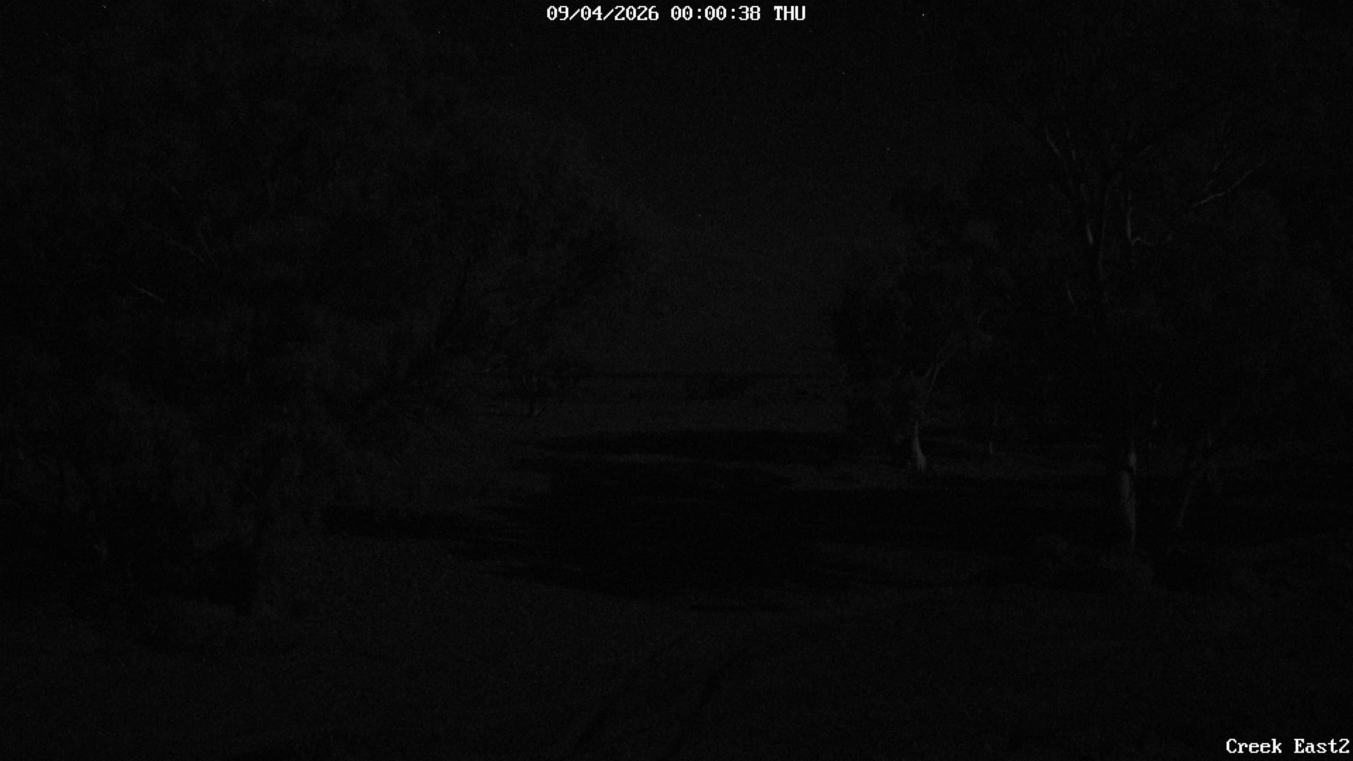 time-lapse frame, CreekCam East webcam