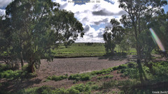 view from CreekCam East on 2026-06-04