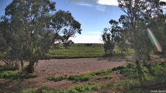 view from CreekCam East on 2026-06-12