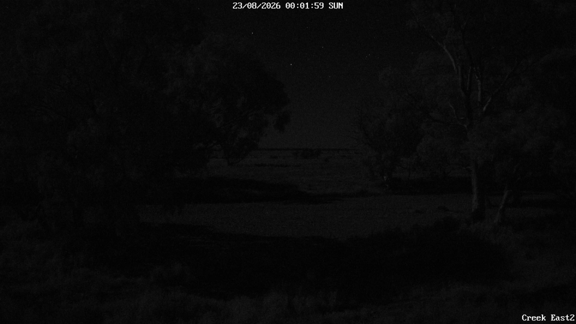 time-lapse frame, CreekCam East webcam