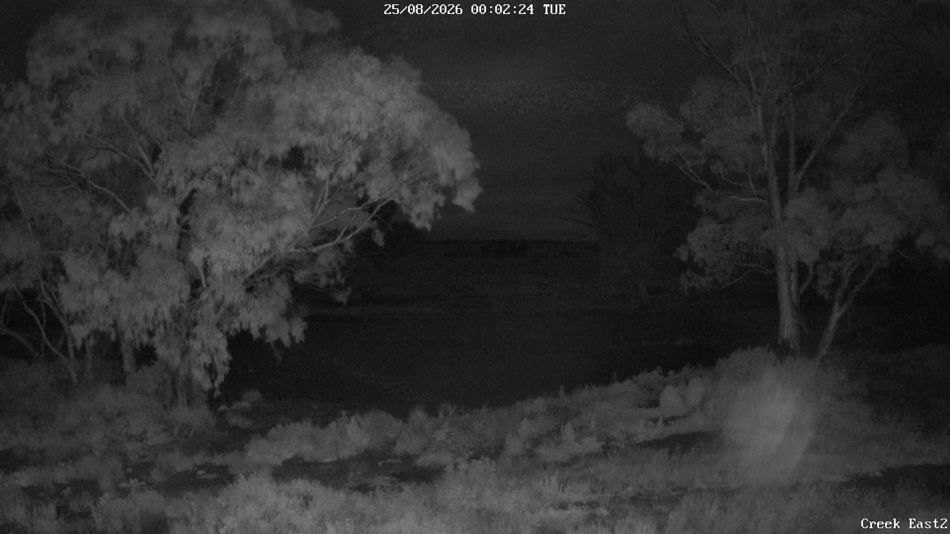 time-lapse frame, CreekCam East webcam