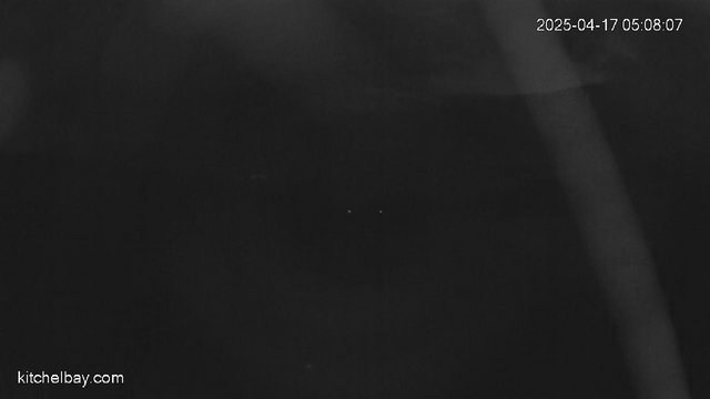 time-lapse frame, kitchelbay.com webcam