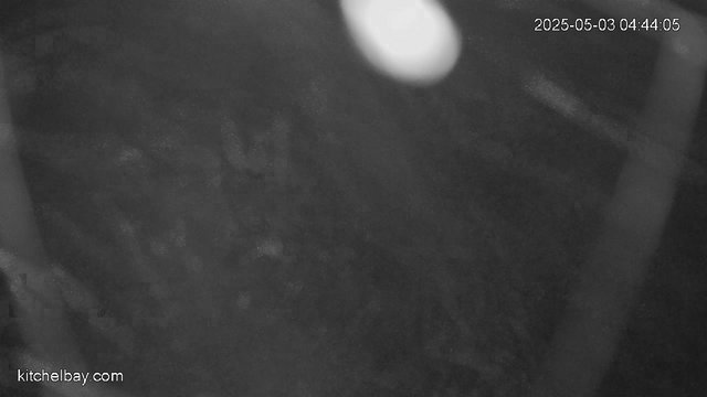 time-lapse frame, kitchelbay.com webcam