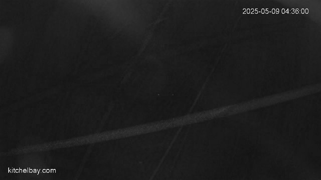 time-lapse frame, kitchelbay.com webcam