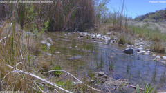 view from Pakoon Springs Stream Side on 2024-04-15
