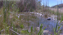 view from Pakoon Springs Stream Side on 2024-05-07