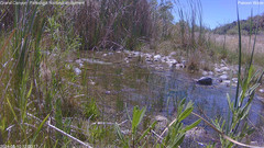 view from Pakoon Springs Stream Side on 2024-05-10