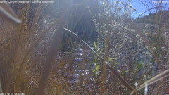 view from Pakoon Springs Stream Side on 2024-12-18