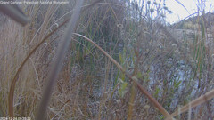 view from Pakoon Springs Stream Side on 2024-12-23