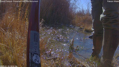 view from Pakoon Springs Stream Side on 2025-01-16