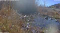 view from Pakoon Springs Stream Side on 2025-01-17