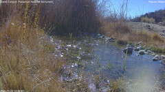 view from Pakoon Springs Stream Side on 2025-01-23