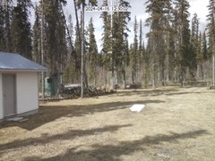 view from Cabin Cam on 2024-04-16