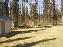 view from Cabin Cam on 2024-04-18