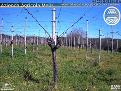 view from Bari Sardo - Fenologica on 2024-03-13