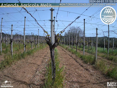 view from Bari Sardo - Fenologica on 2024-04-01