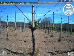 view from Bari Sardo - Fenologica on 2024-04-07