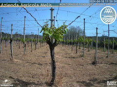 view from Bari Sardo - Fenologica on 2024-04-16