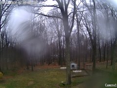 view from Sparta WX on 2024-03-23