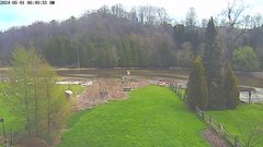 view from YardCam on 2024-05-01