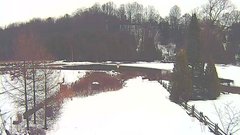 view from YardCam on 2024-12-09