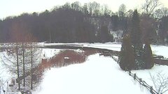 view from YardCam on 2024-12-15