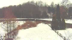 view from YardCam on 2024-12-20