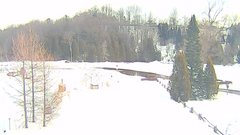 view from YardCam on 2025-03-02