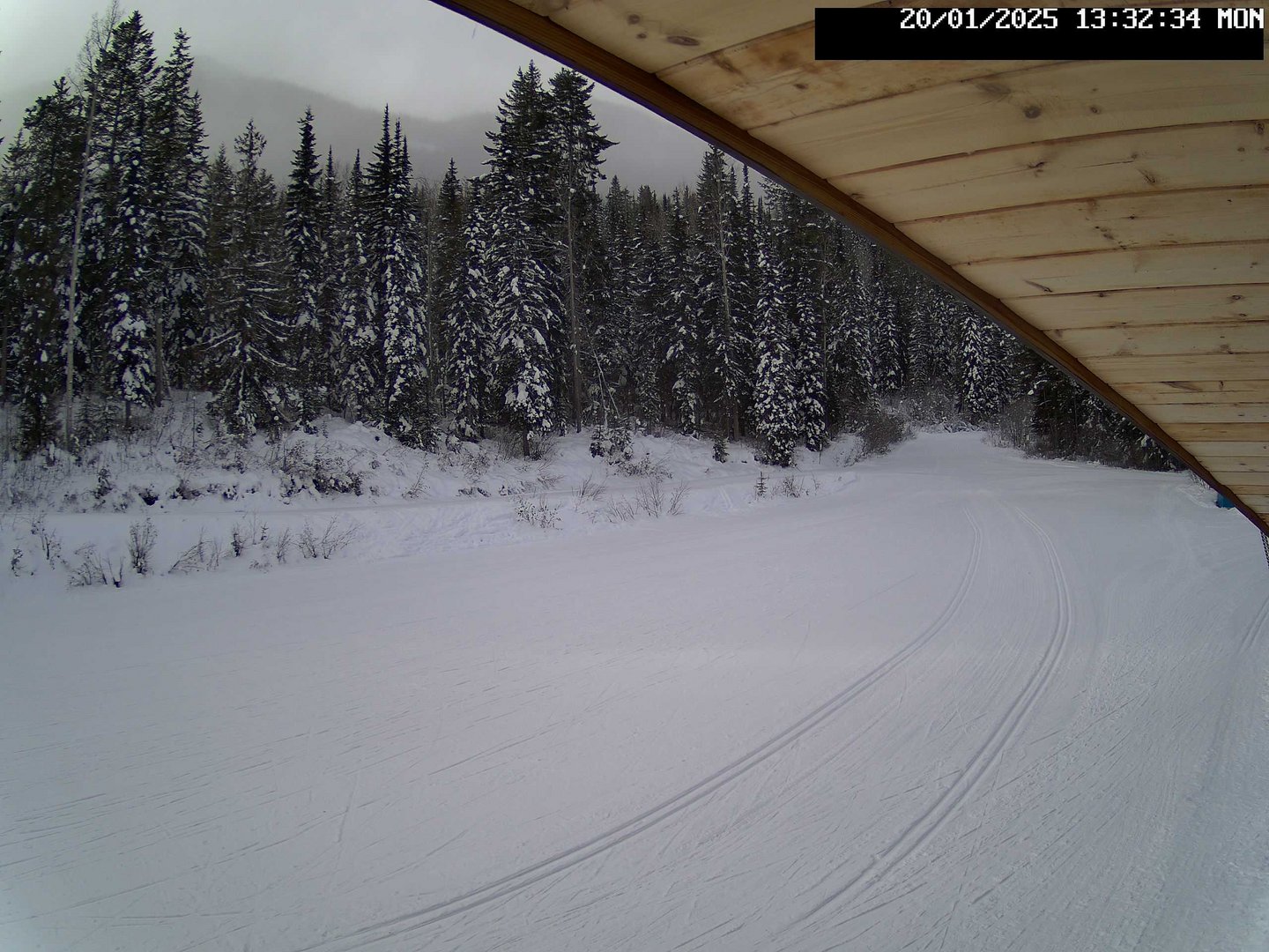 time-lapse frame, Stadium.Cam webcam